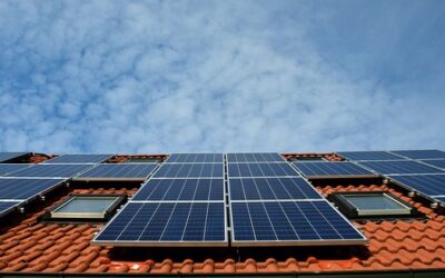 ¿Qué debemos tener en cuenta para elegir paneles solares?